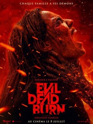 affiche-film
